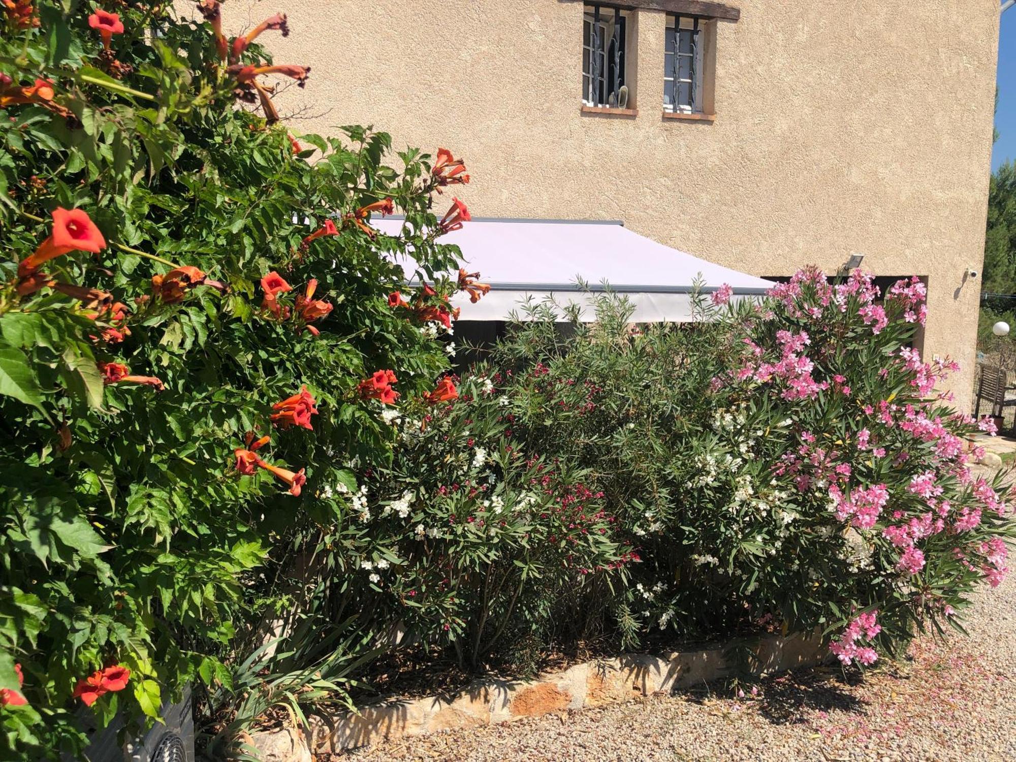 Le Cocon De Provence Leilighet Fayence Eksteriør bilde